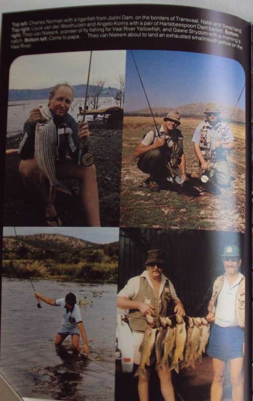 Fresh and Saltwater Flyfishing in Southern Africa Charles Norman