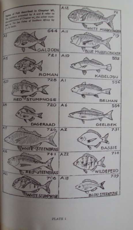 Strike! Handbook of Coastal & Offshore Angling in South Africa S Schoeman