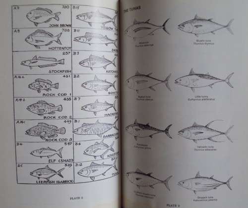 Strike! Handbook of Coastal & Offshore Angling in South Africa S Schoeman