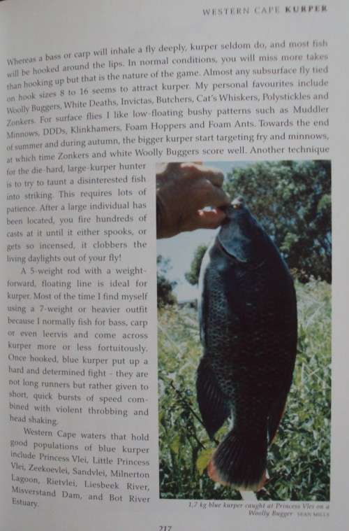 The Nedbank Guide to Fly Fishing in Southern Africa - Fourth Edition