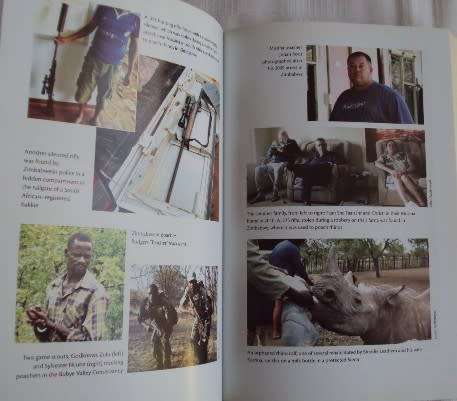 Killing for Profit Exposing the Illegal Rhino Horn Trade  Julian Rademeyer