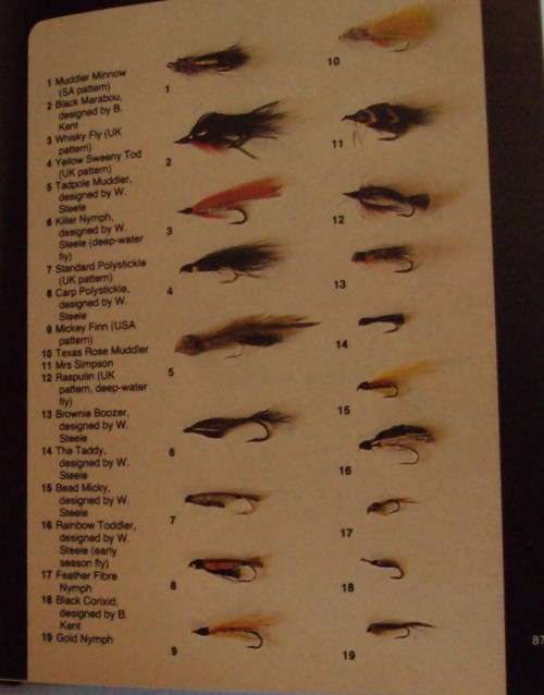 2 Fishing Books: Bass Fishing in Southern Africa | Freshwater Fishing in South Africa