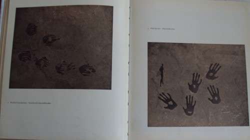 Rock Paintings of the South West Cape  ownley Johnson, Hyme Rabinowitz
