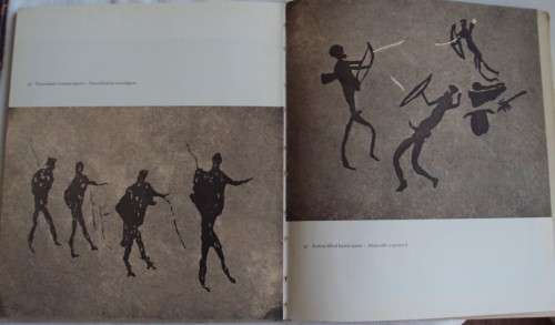 Rock Paintings of the South West Cape  ownley Johnson, Hyme Rabinowitz