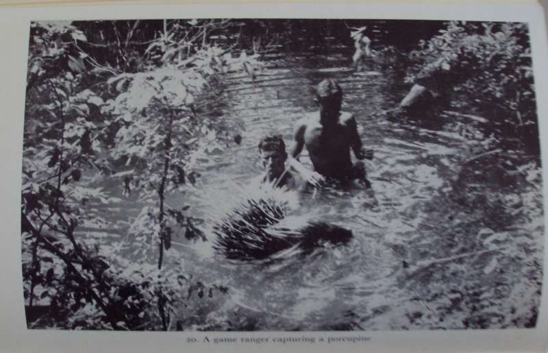 Kariba, The Struggle With The River God  Frank Clements