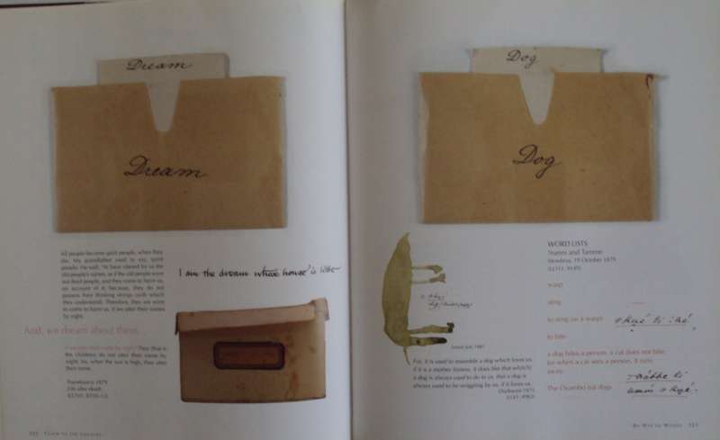 The Archive To The Country The Archive of Lucy Lloyd and Wilhelm Beek  Pippa Skotnes