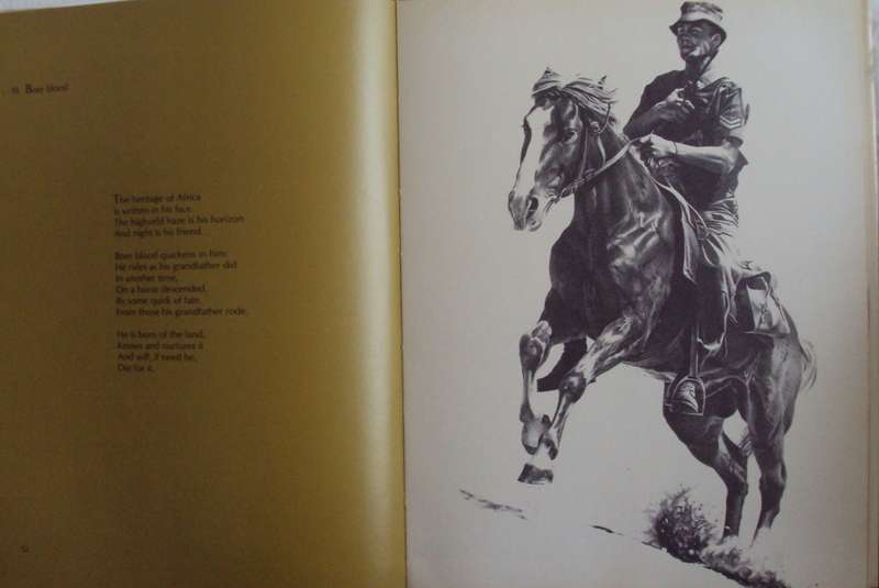 Images of War  Peter Badcock