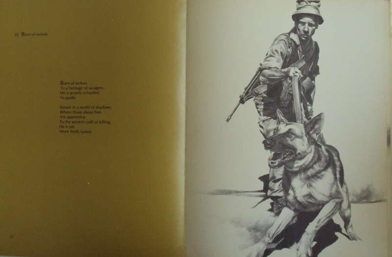 Images of War  Peter Badcock