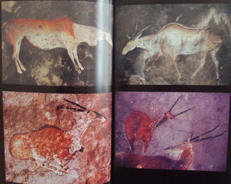 Deciphering Ancient Minds The Mystery of San Bushman Rock Art David Lweis Williams & Sam Challis