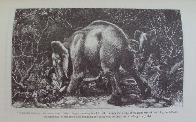 Elephant-hunting in East Equatorial Africa Being an Account of Three Years` Ivory-hunting A Neuman