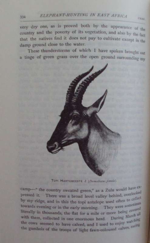Elephant-hunting in East Equatorial Africa Being an Account of Three Years` Ivory-hunting A Neuman