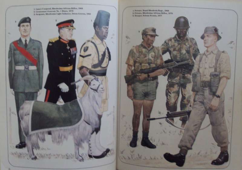 Modern African Wars (1) Rhodesia 1965-80 Peter Abbott | Philip Botham | Mike Chappell