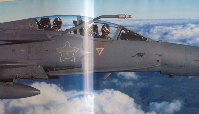 More Than Game A Salute to the South African Air Force Herman Potgieter