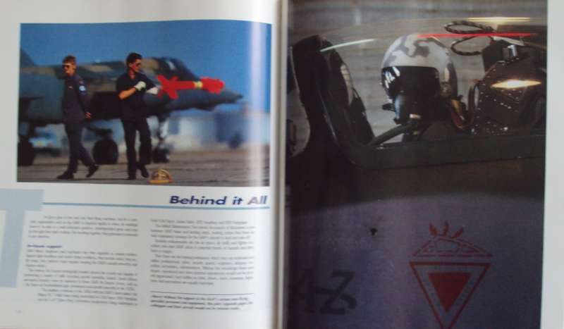 More Than Game A Salute to the South African Air Force Herman Potgieter