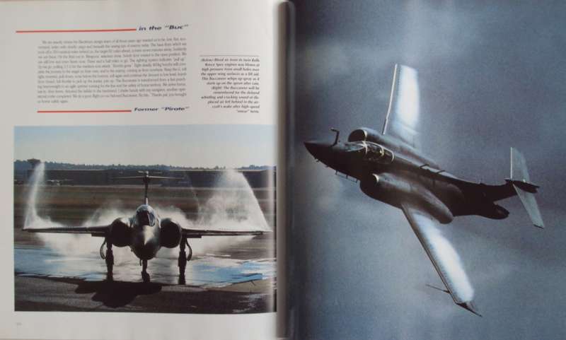 More Than Game A Salute to the South African Air Force Herman Potgieter
