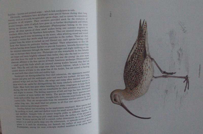 The Birds of Southern Africa  laude Gibney Finch-Davies & Dr Alan Kemp