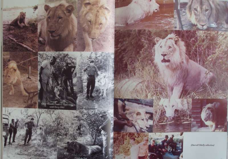We Fear Naught But God Pictorial Edition of the South African Special Forces  Signed by the author