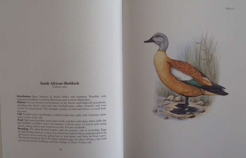Gamebirds & Waterfowl of Southern Africa  Claude Gibney Finch-Davies
