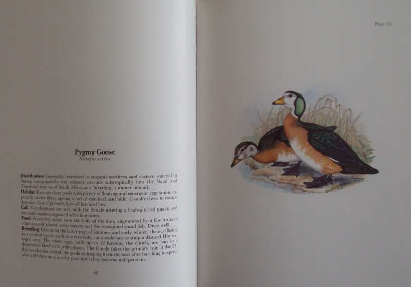 Gamebirds & Waterfowl of Southern Africa  Claude Gibney Finch-Davies