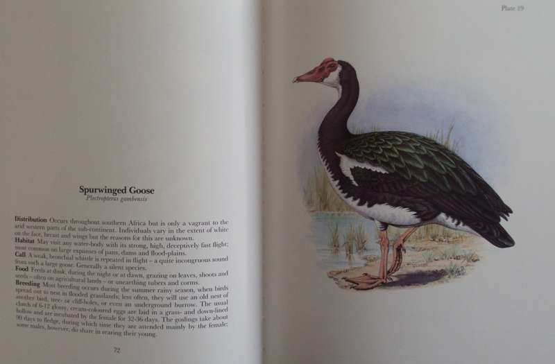 Gamebirds & Waterfowl of Southern Africa  Claude Gibney Finch-Davies