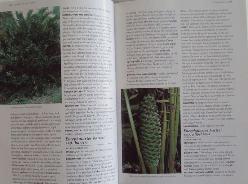 Cycads of the World Ancient Plants in Todays World David L Jones