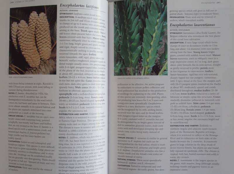Cycads of the World Ancient Plants in Todays World David L Jones