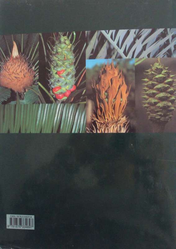 Cycads of the World Ancient Plants in Todays World David L Jones