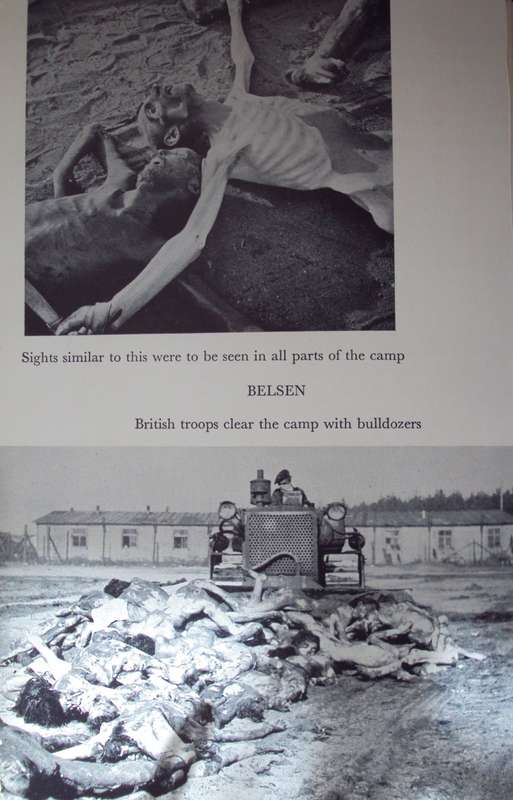 The Scourge of the Swastika A Short History of Nazi Crimes Lord Russell of Liverpool