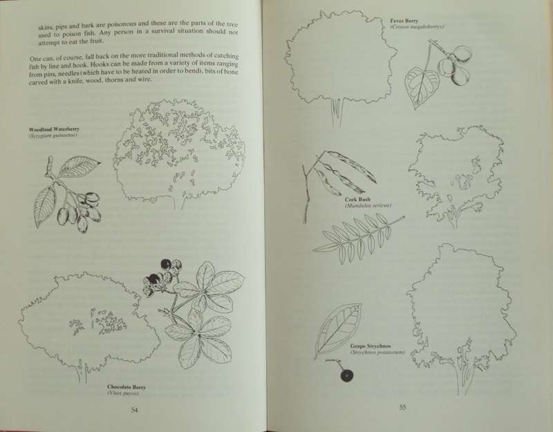 Staying Alive: Southern African Survival Handbook Ron Reid-Daly