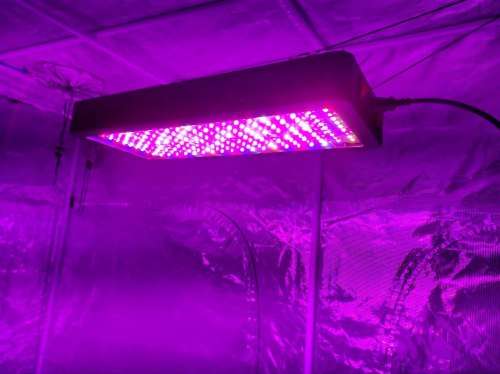 BESTVA 2000W Full Spectrum LED Grow Light