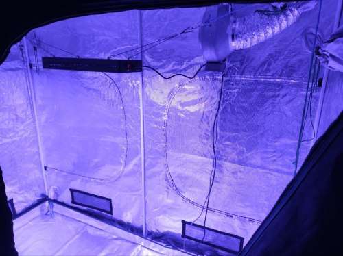 Mars Grow Tent 2.4m x 1.2m x 2m