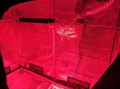 BESTVA 2000W Full Spectrum LED Grow Light
