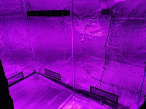 BESTVA 2000W Full Spectrum LED Grow Light