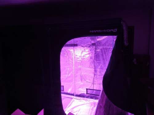 Mars Grow Tent 2.4m x 1.2m x 2m