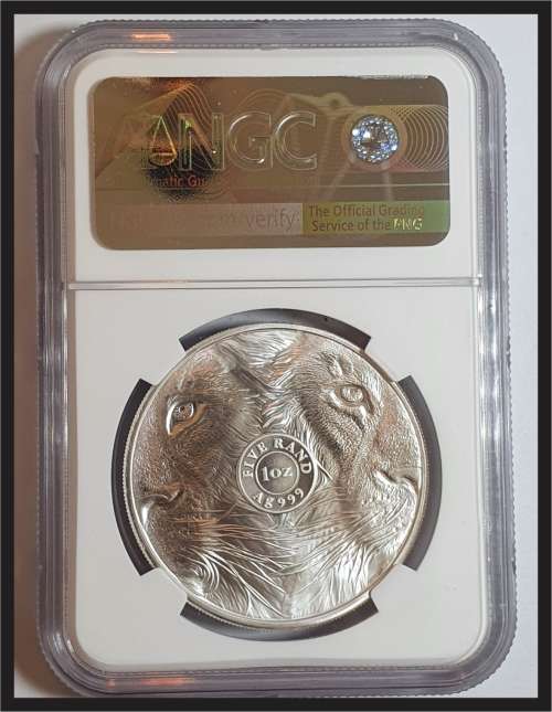 SCARCE!!!  2019 Big 5 Lion  // NGC MS68
