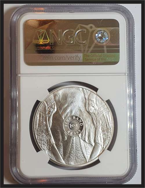 SCARCE!!! 2019 Big 5 Elephant // NGC MS69