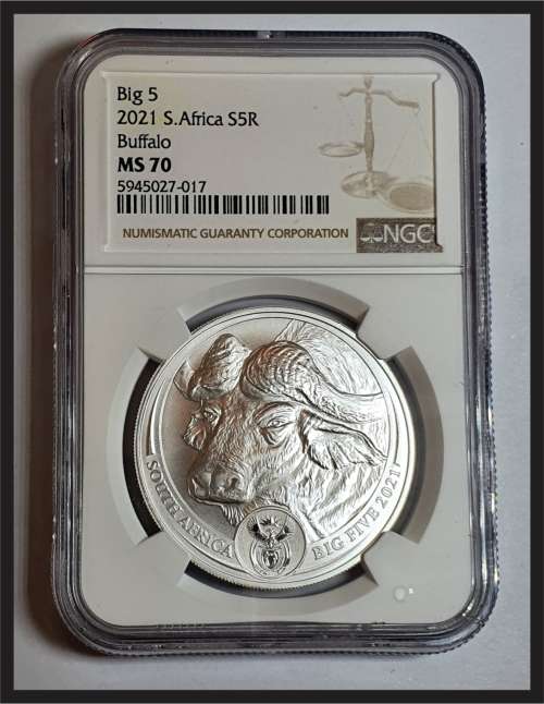 SCARCE!!!  2021 Big 5 Buffalo  // Perfect Grade // NGC MS70