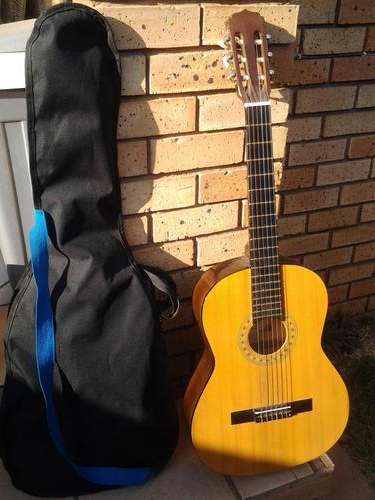 Starfire guitar