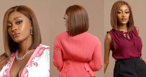 Brazilian Straight Full Lace Front Wig - Colour 4 - 12 Inch