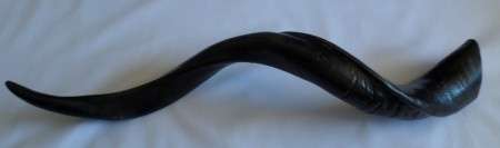 Decorative Kudu Horn, Antique brown