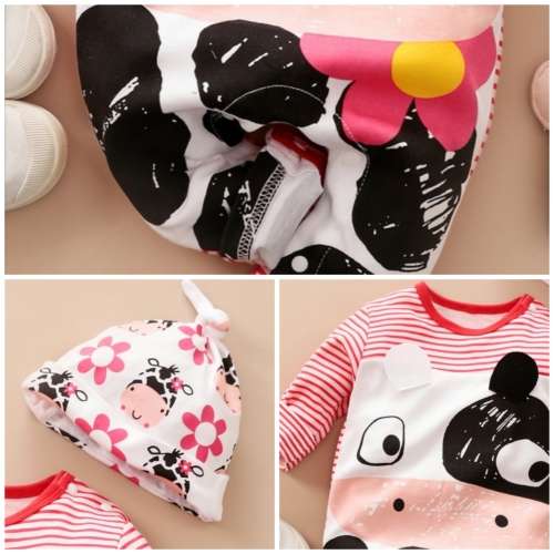 Beautiful babygrow with a cute hat