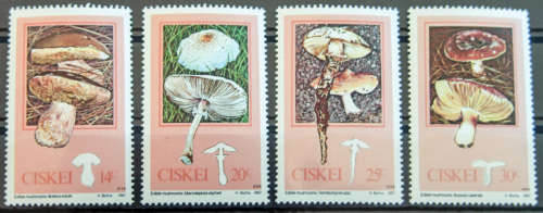 Ciskei SACC 110 - 113. Edible Mushrooms. M.N.H