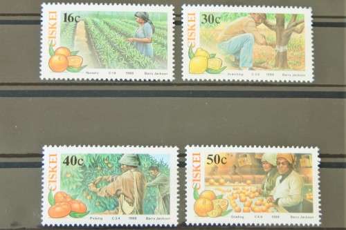 Ciskei SACC 141 - 144. Citrus Farming. M.N.H