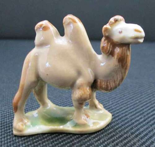 Wade Camel