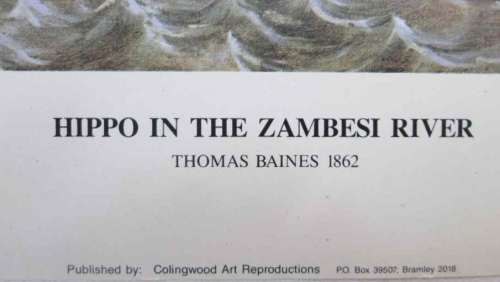 Hippo In The Zambezi River, Thomas Baines -  Numbered (150/850) Print - Collingwood Art Productions