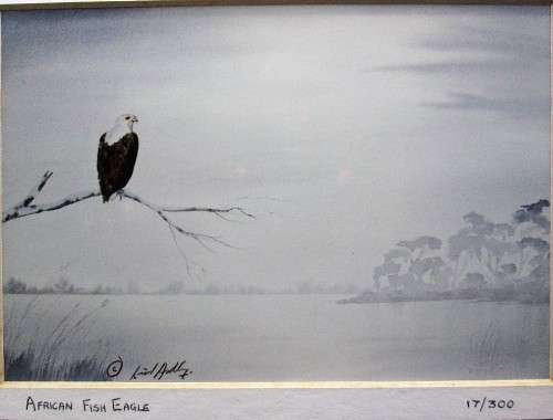 Lovely Lionel Ashley Numbered Art Print Framed In Board -Print Size 16,5cm/11cm -African Fish Eagle