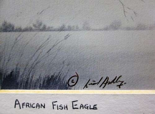 Lovely Lionel Ashley Numbered Art Print Framed In Board -Print Size 16,5cm/11cm -African Fish Eagle