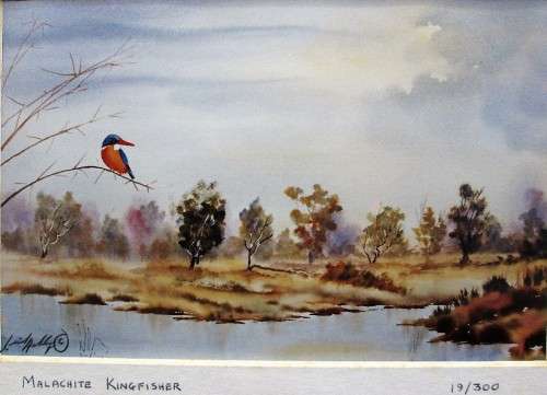 Lovely Lionel Ashley Numbered Art Print Framed In Board Print Size 16,5cm/11cm -Malachite Kingfisher