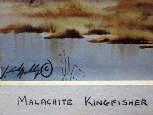 Lovely Lionel Ashley Numbered Art Print Framed In Board Print Size 16,5cm/11cm -Malachite Kingfisher