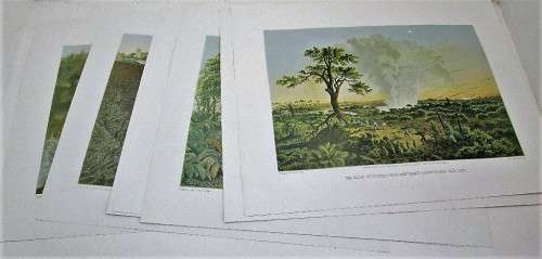 The Victoria Falls - Zambezi River - Full Set Thomas Bainbridge Lithographs, Books Of Zimbabwe, 1994